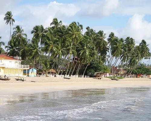 La playa de Maragogi con cocoteros inclinados sobre la arena y casas bajas detrás