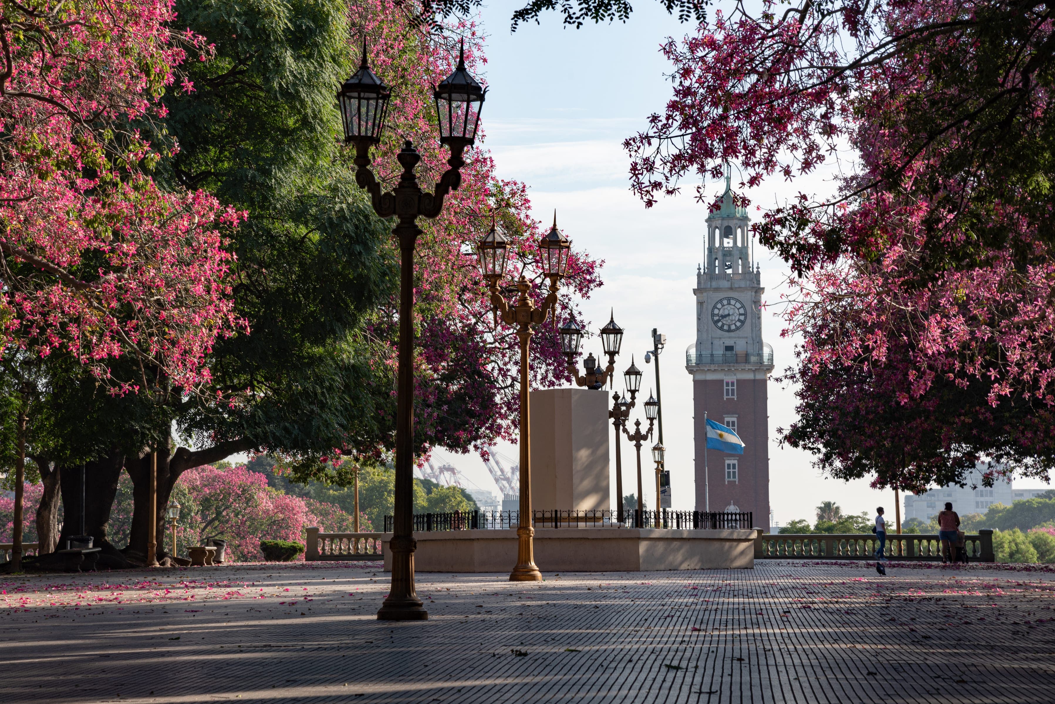Plaza San Martín con palos borrachos en flor y la Torre Monumental al fondo