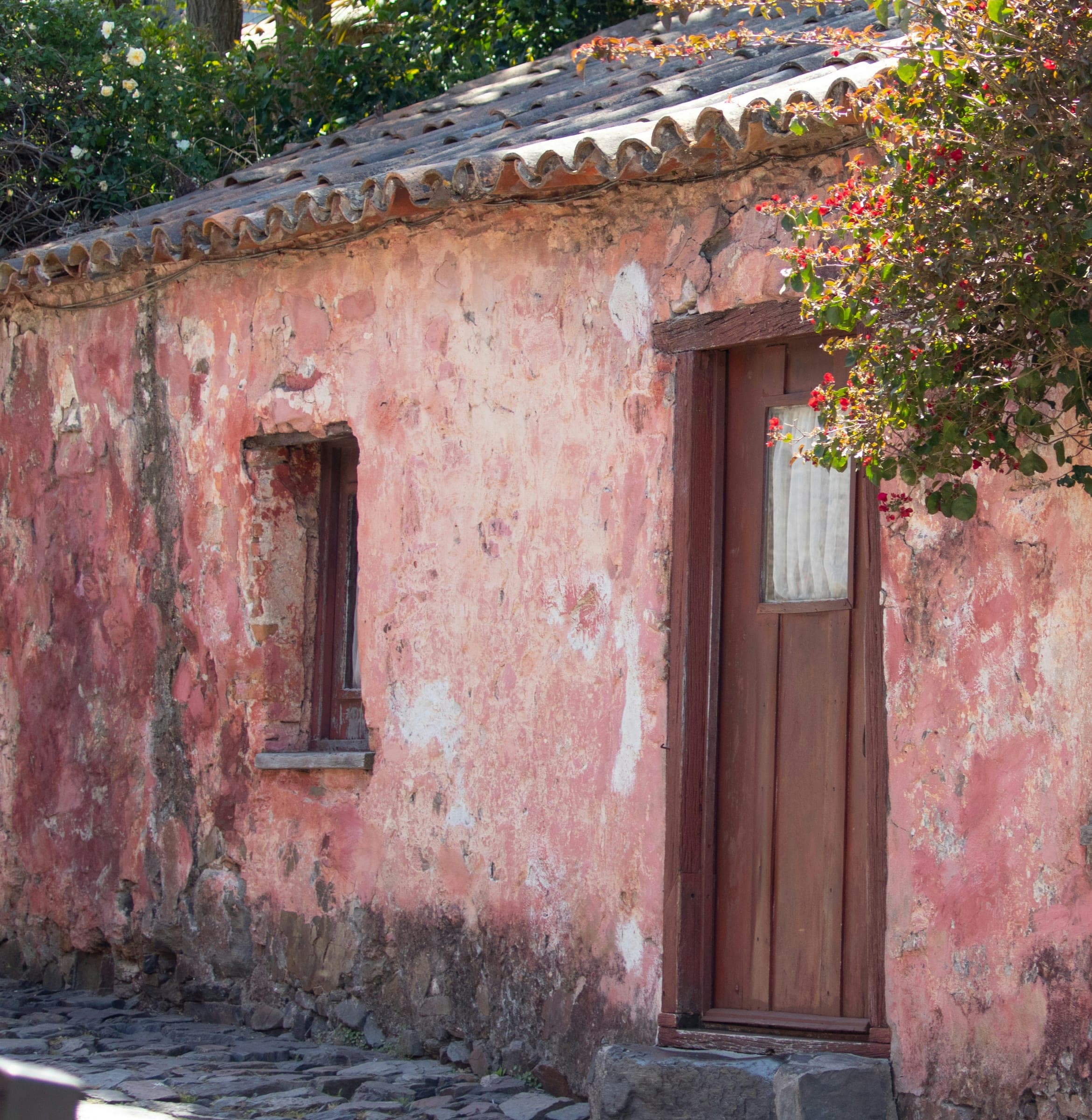 Fachada rosada y descascarada de una casa baja con techo de tejas, puerta de madera bordó y una enredadera con flores rojas sobre la entrada, con empedrado al pie, en Colonia del Sacramento