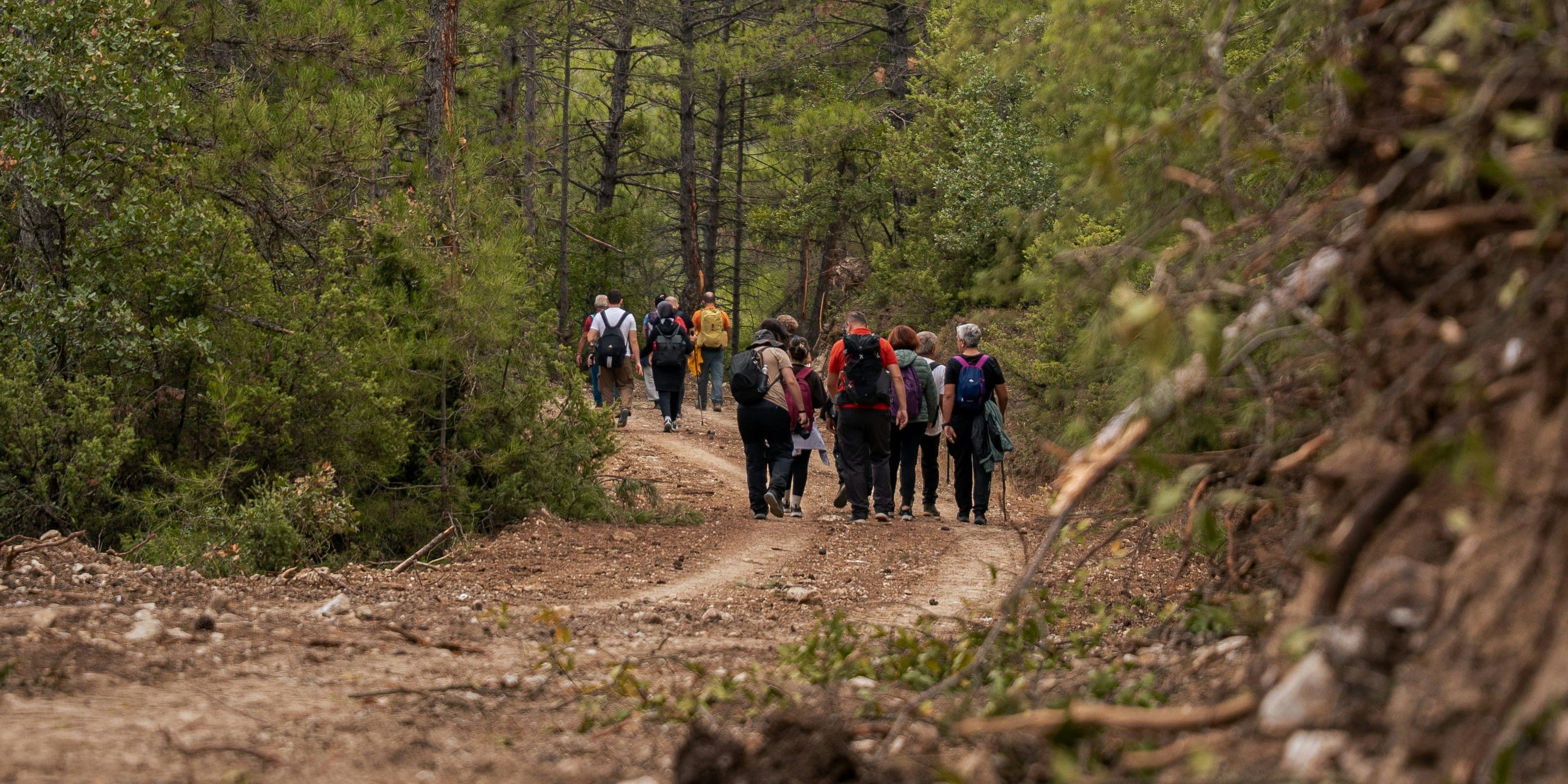 Un grupo de unas diez personas camina de espaldas por un camino ancho de tierra que baja entre pinos, con mochilas chicas y camperas de colores