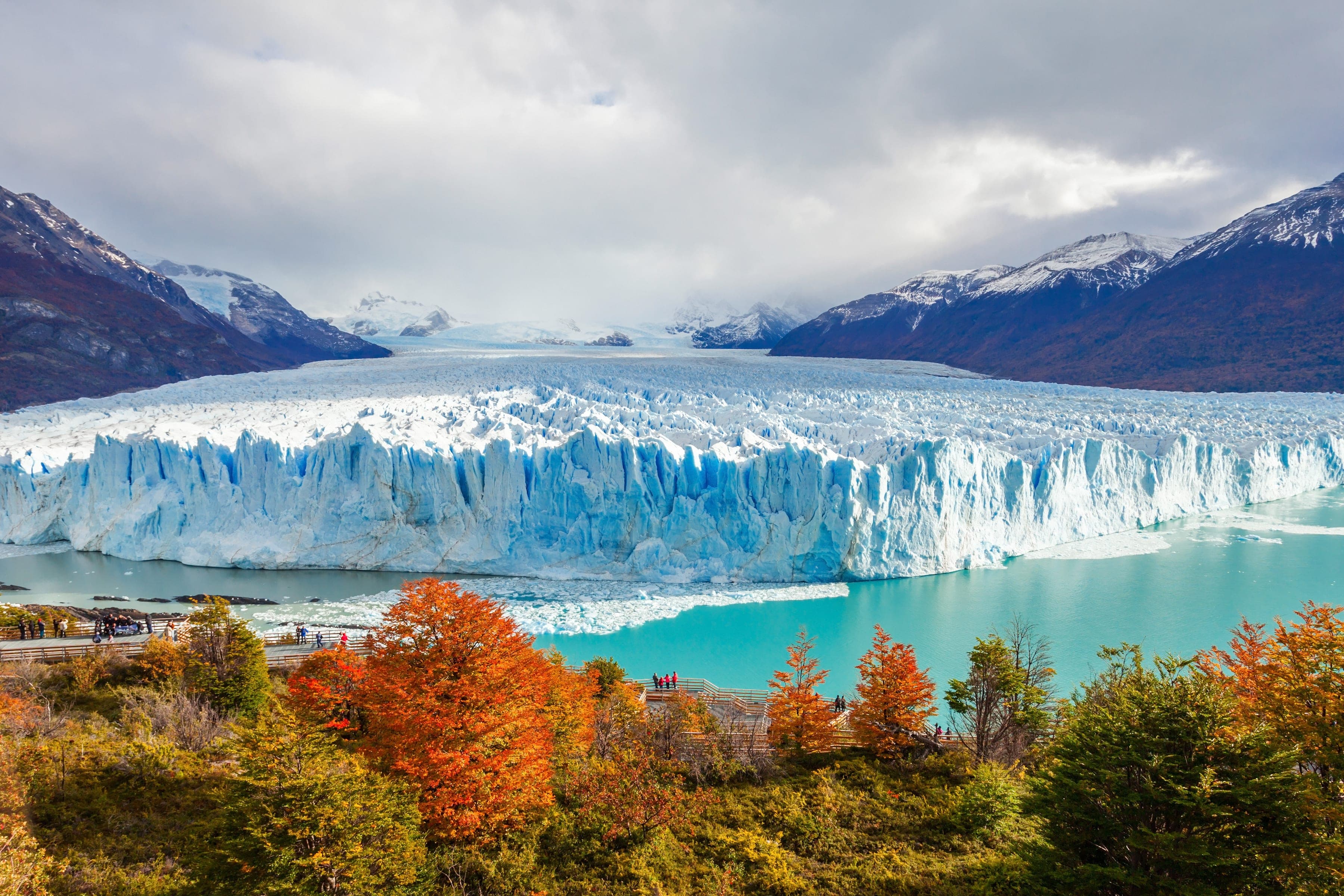 Frente del glaciar Perito Moreno visto desde las pasarelas, con bosque otoñal en primer plano